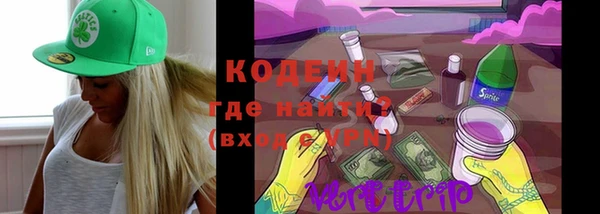 дживик Пенза