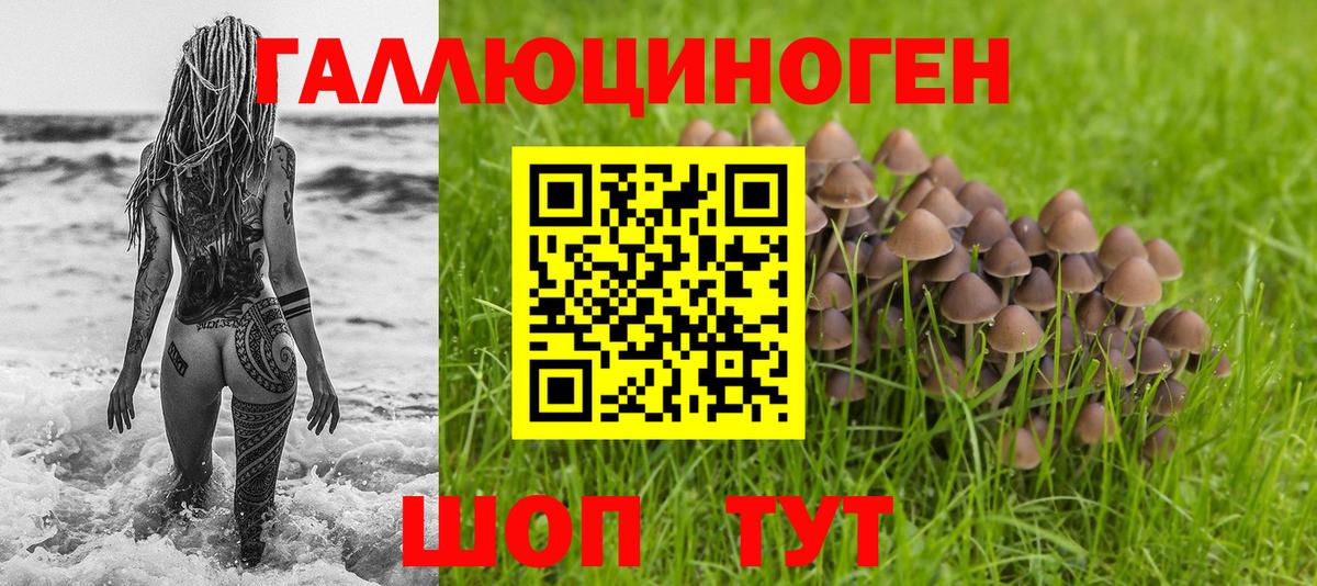Галлюциногенные грибы мухоморы Раменское