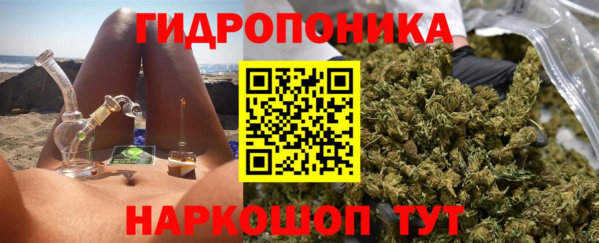 Канабис план Раменское
